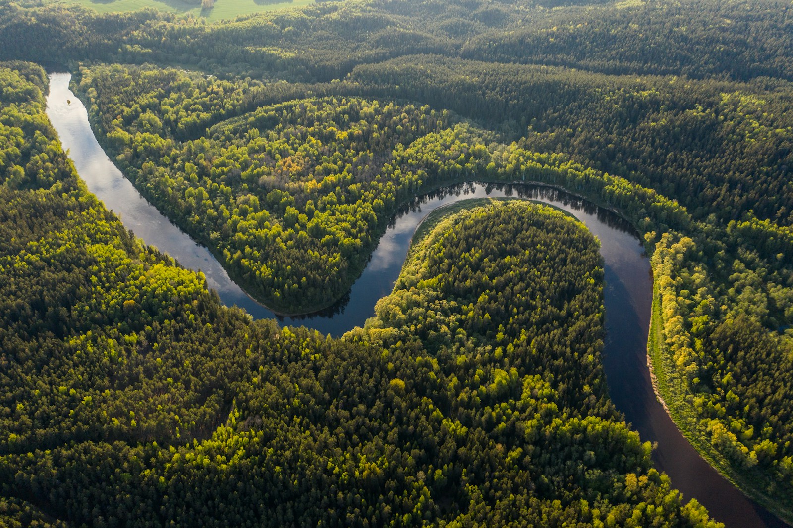 Río y bosque vistos desde el aire