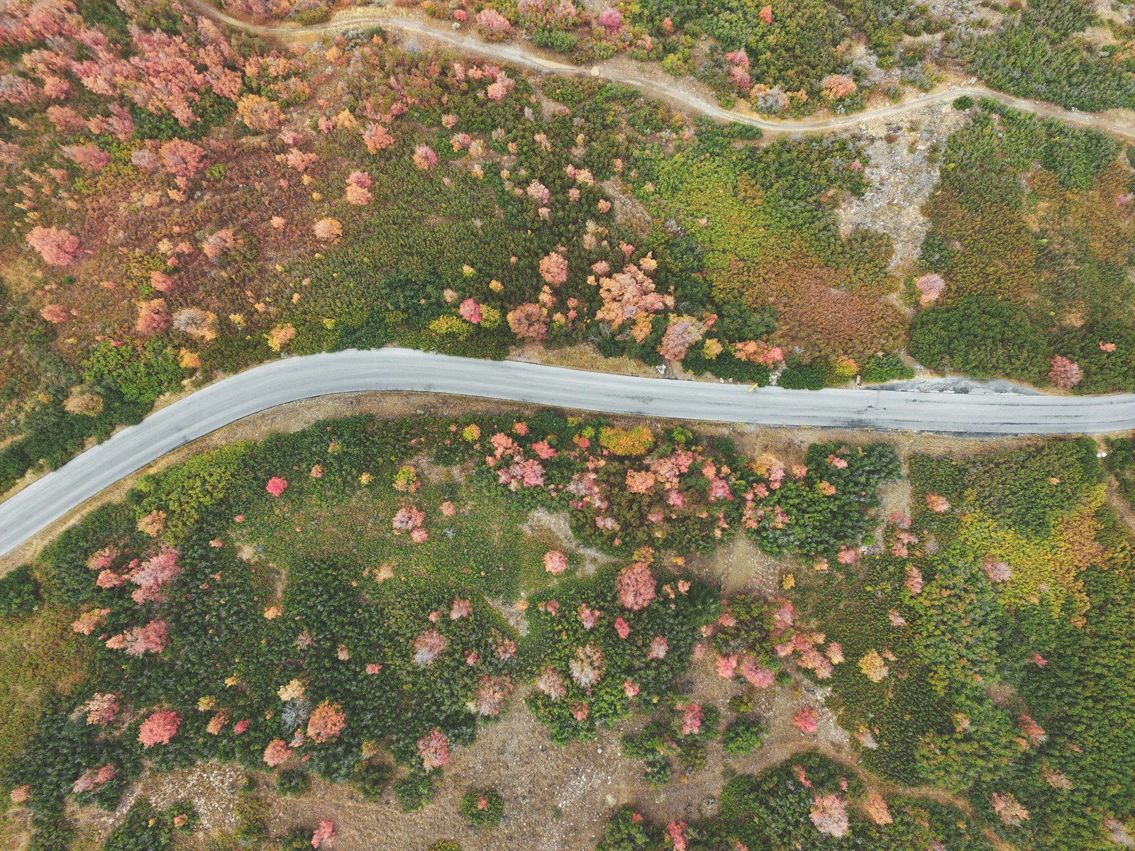Continuidad de vegetación y caminos naturales desde el aire