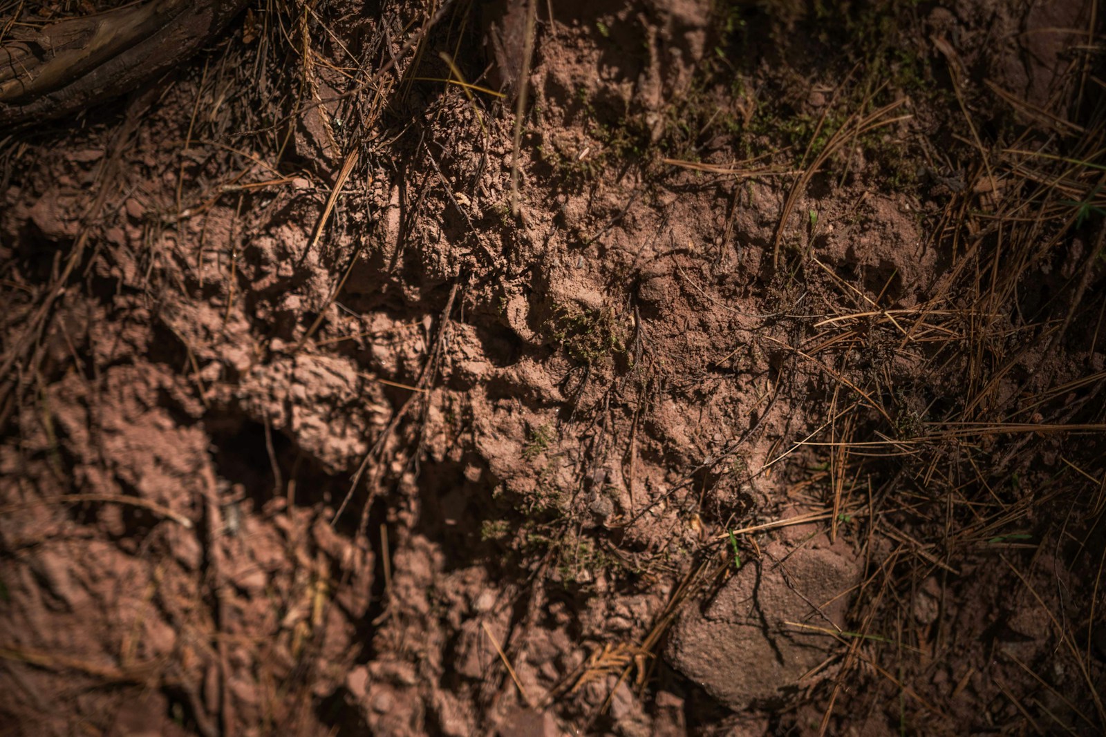 Textura de suelo y materia orgánica