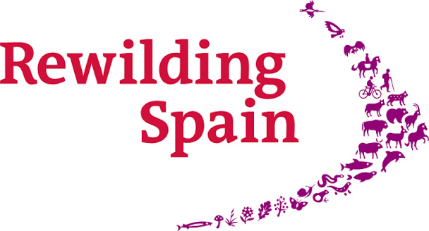 Rewilding Spain