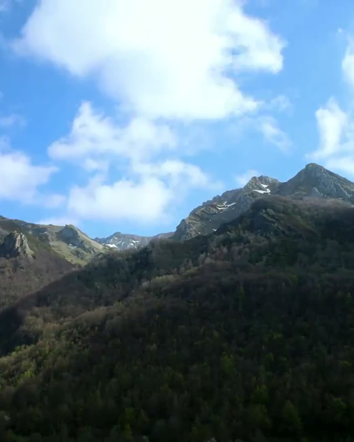 Paisaje natural de montaña y bosque como capital natural